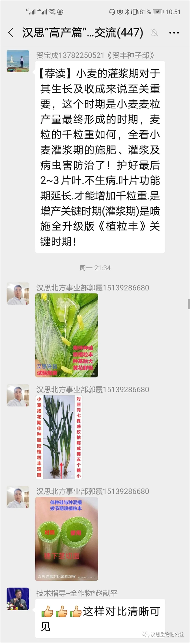 小麥灌漿期 《植粒豐》助力“頂滿倉”